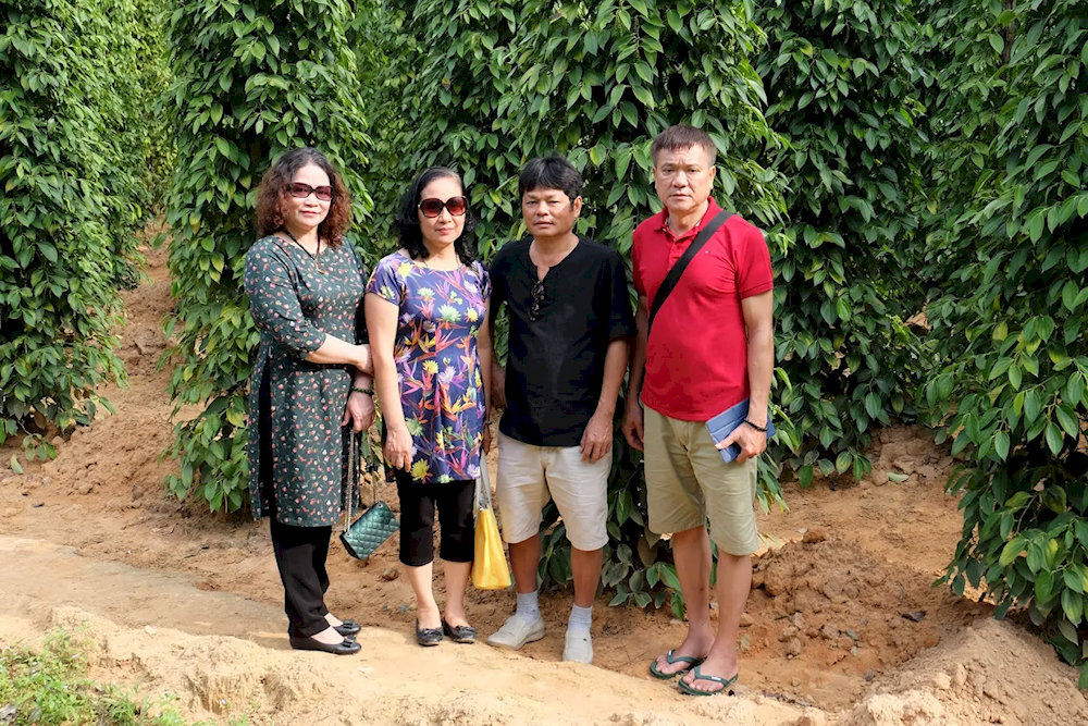 A favorite check-in spot for travelers visiting Phu Quoc, thanks to its natural charm and romantic atmosphere